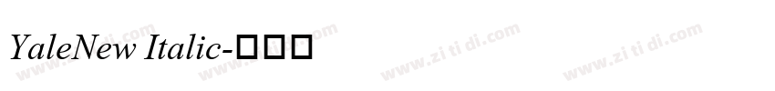 YaleNew Italic字体转换